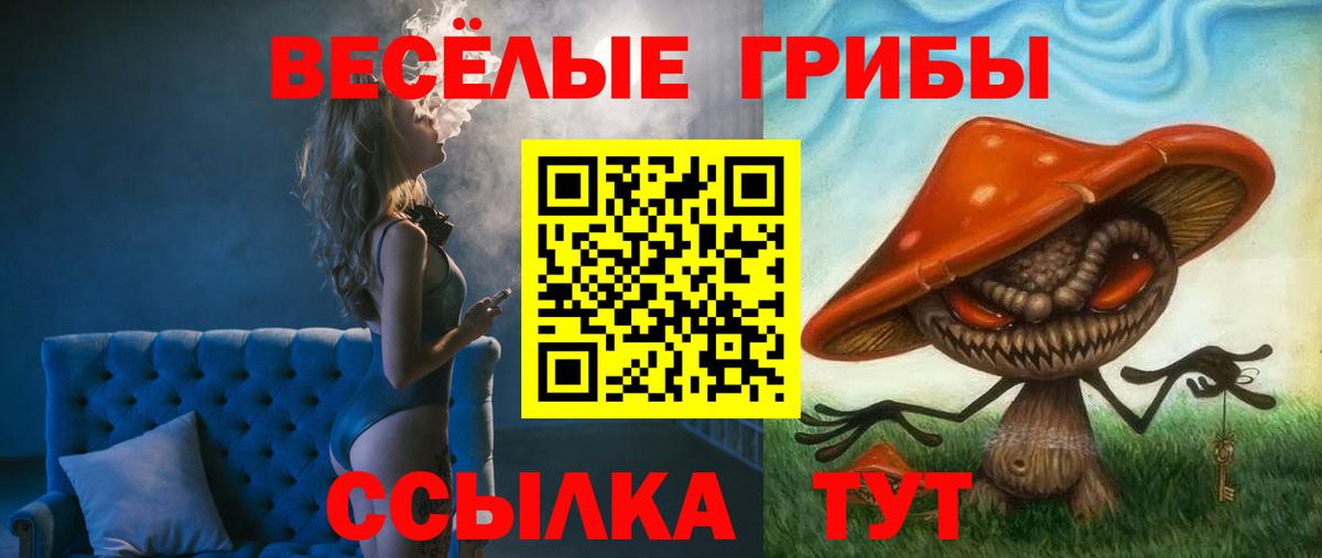 Псилоцибиновые грибы Psilocybe  Вход с VPN  Бугуруслан  Галлюциногенные грибы мухоморы 